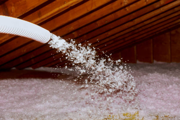 Best Residential Insulation in Watkins Glen, NY
