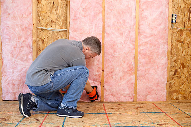 Best Insulation Installation Services in Watkins Glen, NY